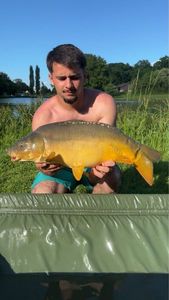 Mirror Carp
