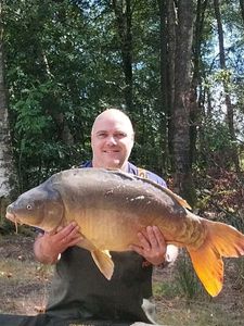 Mirror Carp