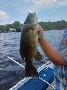 Smallmouth Bass