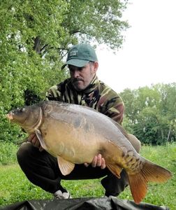 Mirror Carp