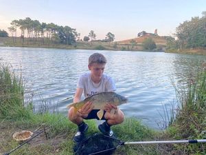 Mirror Carp