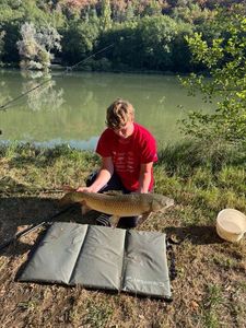 Silver Carp