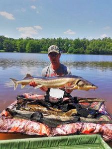 Dabry's Sturgeon