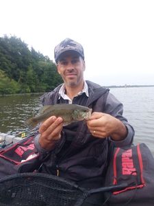 Smallmouth Bass