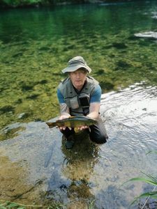 Brown Trout