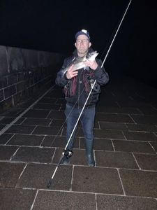 European Bass (Seabass)