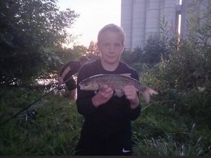 Chub