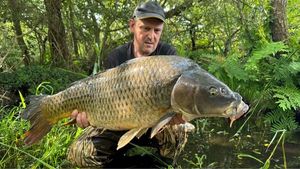 Common Carp