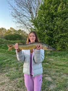 Northern Pike
