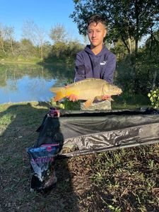 Mirror Carp