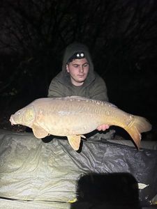 Mirror Carp