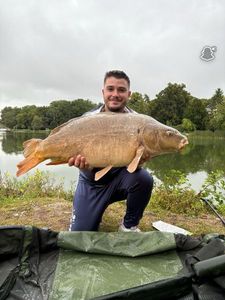 Mirror Carp
