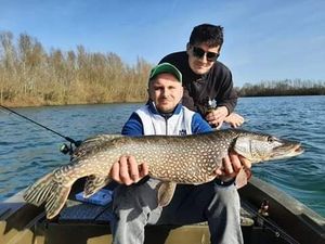 Northern Pike