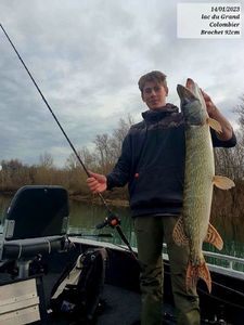 Northern Pike