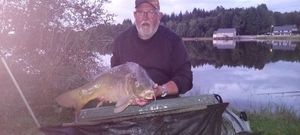 Mirror Carp