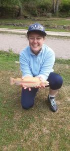 Golden Trout