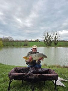 Common Carp