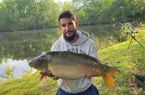 Mirror Carp
