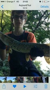 Northern Pike