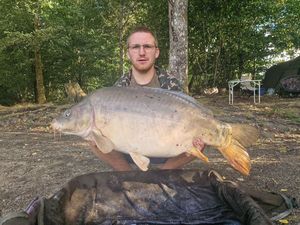 Mirror Carp
