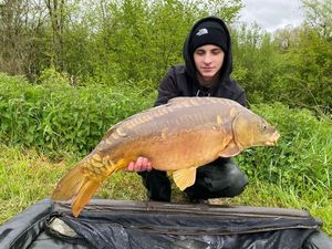 Mirror Carp