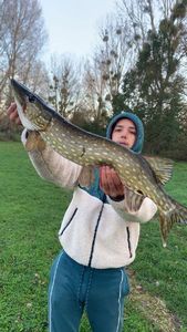 Northern Pike