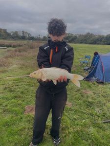Koï Fish