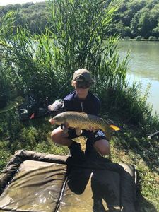 Common Carp