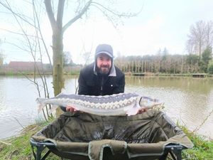 Sturgeon