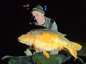 Koï Fish