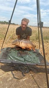 Mirror Carp