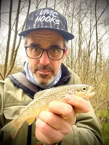 Brown Trout
