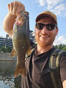 Smallmouth Bass
