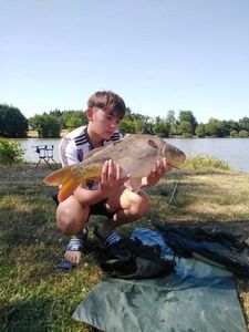 Mirror Carp