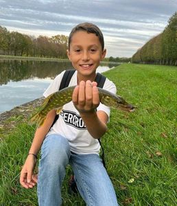 Northern Pike