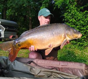 Mirror Carp