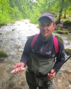 Brown Trout