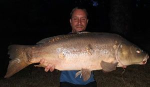 Mirror Carp