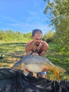 Mirror Carp