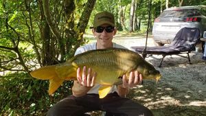 Mirror Carp