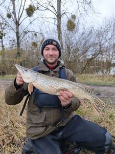 Northern Pike