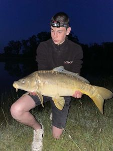 Mirror Carp