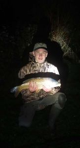 Common Carp