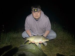 Common Carp