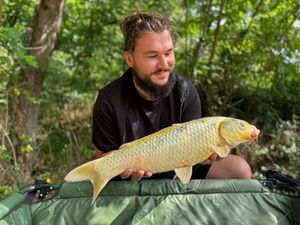 Koï Fish