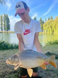 Mirror Carp