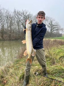Northern Pike