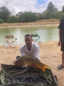 Mirror Carp