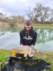 Common Carp