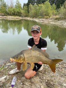 Common Carp